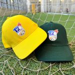 Domestic T20 Challenge Capped For Excellence