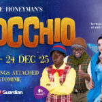 Janice Honeyman’s 38th Annual Pantomime Brings Pinocchio To Life At Joburg Theatre!