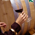 A Celebration of Connection: Inside The Nedbank Alchemy