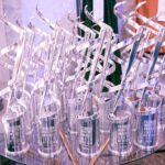 Fashion Industry Awards South Africa Announces The Nominees for Its 5th Annual Awards